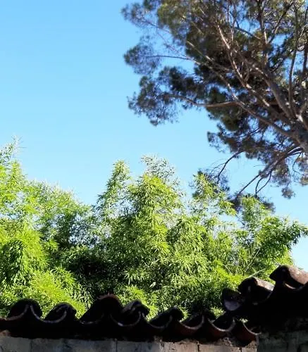 Bamboo Apartman