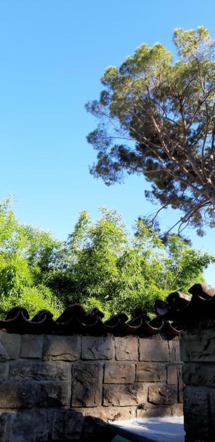 Bamboo *